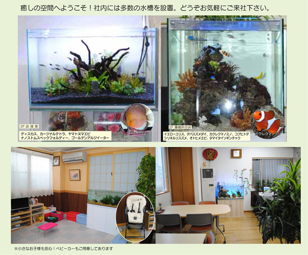 癒しの空間へようこそ!社内には多数の水槽を設置。どうぞお気軽にご来社下さい。 癒しの空間へようこそ!社内には多数の水槽を設置。どうぞお気軽にご来社下さい。
