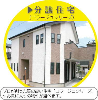 分譲住宅（コラージュシリーズ）　プロが創った質の高い住宅「コラージュシリーズ」～お気に入りの物件が選べます。